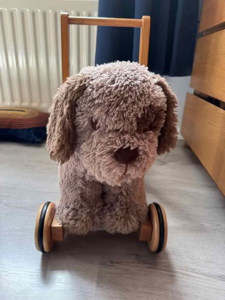 Photo of free Toddler Dog Walker (Kirkby Thore CA10) #1