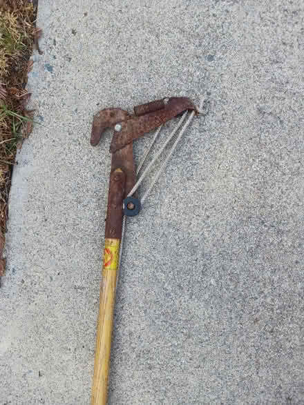 Photo of free 15 foot Pruner and Lopper (Walnut Creek) #1