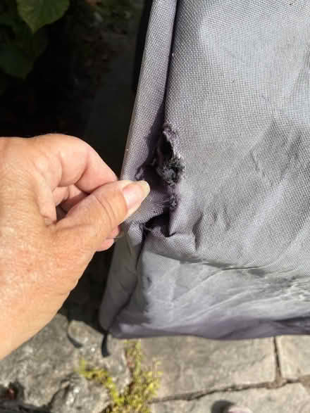 Photo of free Barbecue cover (Burnhamthorpe and Tomken) #3