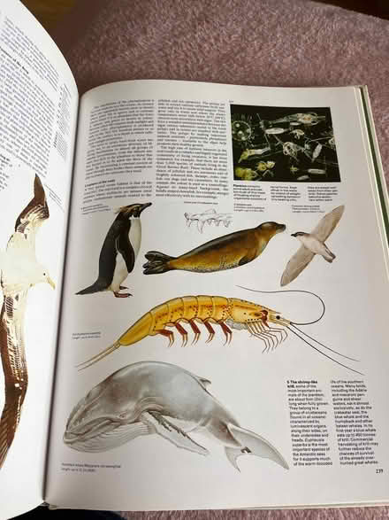 Photo of free hard back natural world book (SK1, central stockport) #2