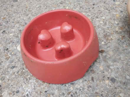 Photo of free Dog bowl plastic (Saints LU3) #1