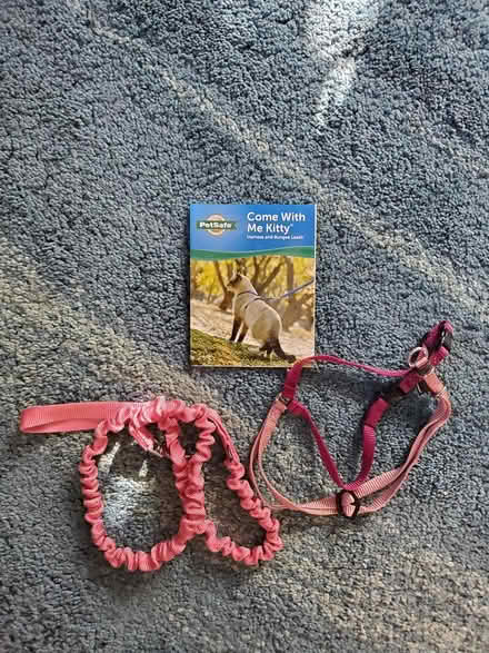 Photo of free Cat leash and harness (North Oakland) #1