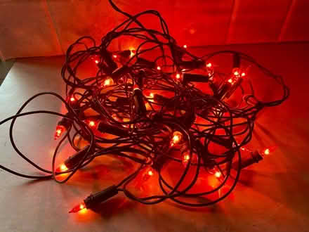 Photo of free Christmas lights (Eastbourne BN21) #1