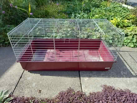 Photo of free Small Pet Cages (Staveley HG5) #2
