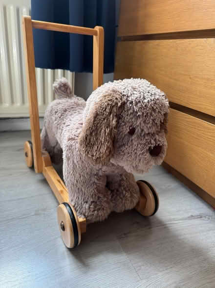 Photo of free Toddler Dog Walker (Kirkby Thore CA10) #2