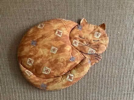 Photo of free Cushion (Garsington OX44) #1