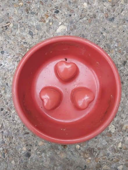 Photo of free Dog bowl plastic (Saints LU3) #2