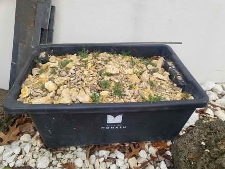 Photo of free garden clayey soil (Glen Waverley) #1