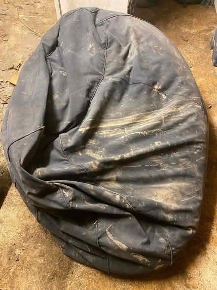 Photo of free Bean bag (Bathwick) #2