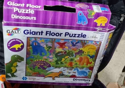 Photo of free Giant dinosaur floor puzzle (ME1) #1