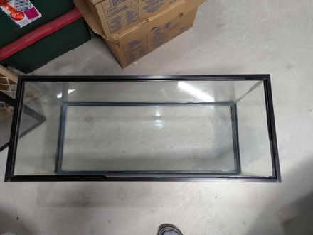 Photo of free Fish tank/Terrarium (Nepean) #2