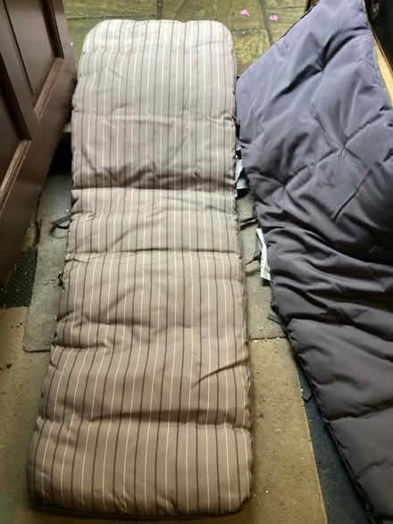 Photo of free Two sunlounger cushions (Axminster) #1