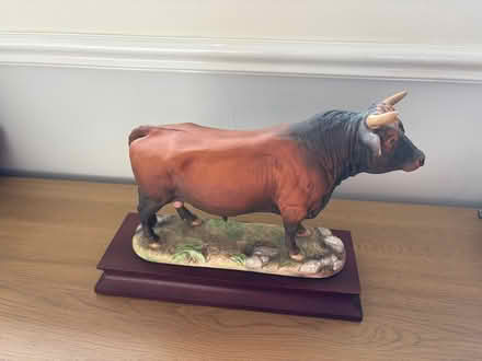 Photo of free Coalport ‘the jersey bull’ (Starkholmes DE4) #1