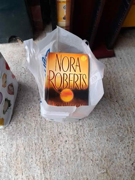 Photo of free Bag of Books (Shirley CR0) #1
