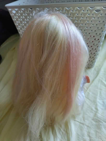 Photo of free Doll with long blonde hair and new clothes, B13 or B15 (Alcester Lanes End B13) #2