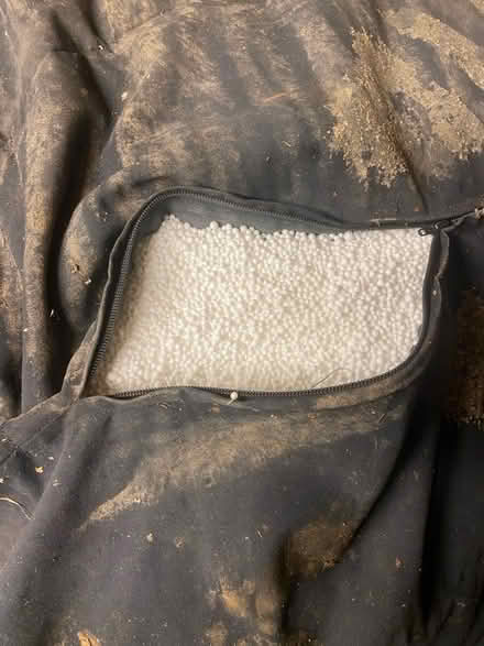 Photo of free Bean bag (Bathwick) #1