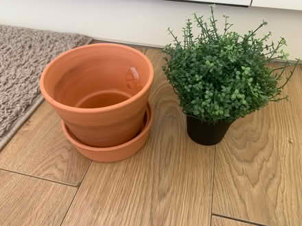 Photo of free Terracotta Plant Pot with Saucer (Sheffield) #1