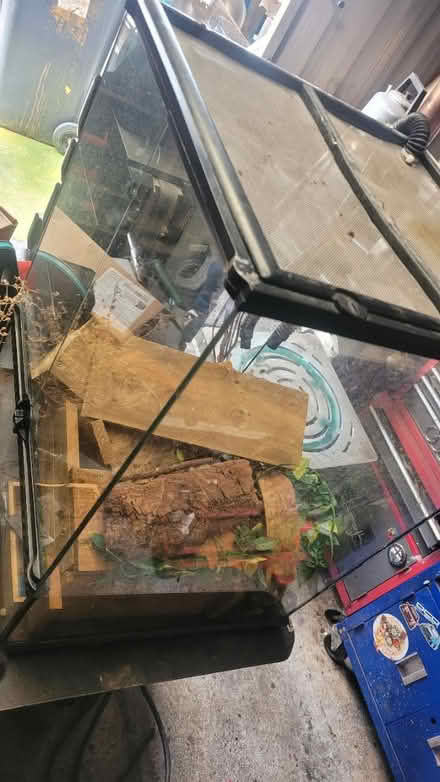 Photo of free Vivarium (Gort co galway) #1