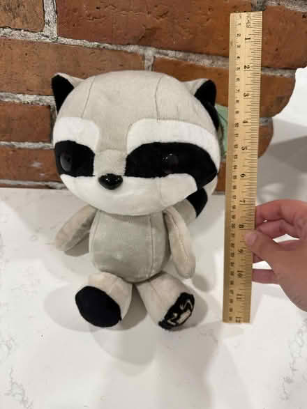 Photo of free Stuffed Raccoon Toy (Grove & Somerset) #1