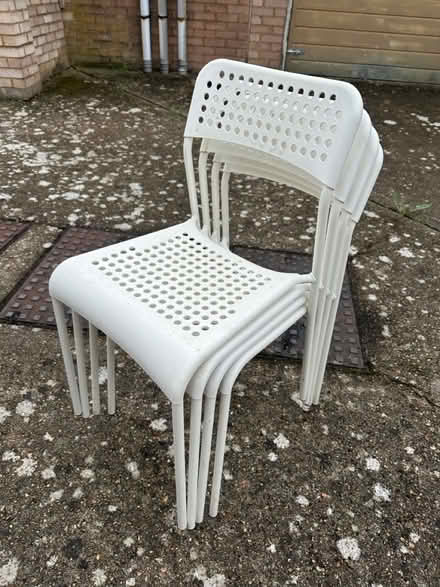 Photo of free Four IKEA Plastic Chairs (Hampton TW12) #3