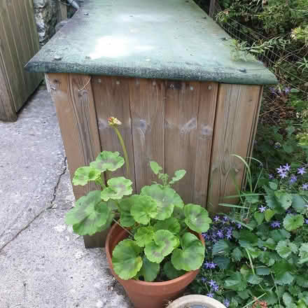 Photo of free Rabbit/ guinea pig hutch (Paulton) #1
