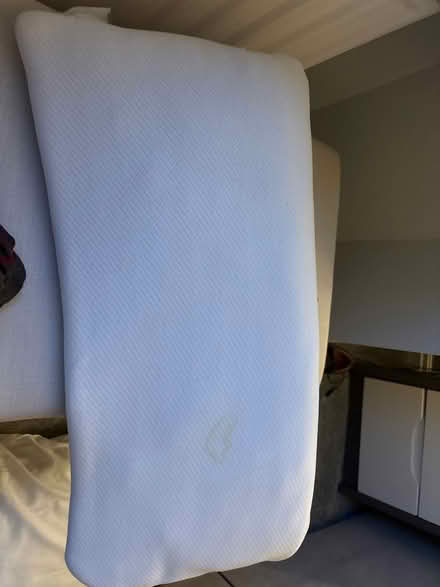 Photo of free Old pillows / for pets? (CW2 6) #1