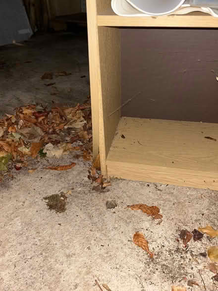 Photo of free Light oak bookcase (Warlingham) #2