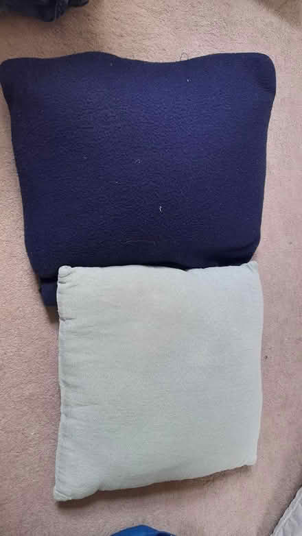 Photo of free Two quirky cushions 30 x 30cm? (Liversedge WF15) #1