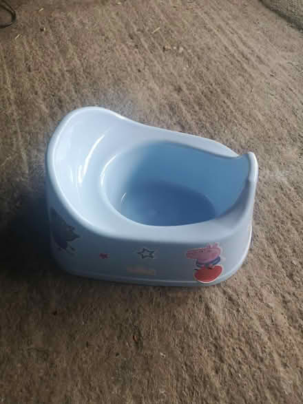 Photo of free Potty (Odd Down, BA2) #1