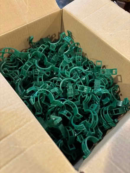Photo of free Clips (Lombard Commons Park) #3