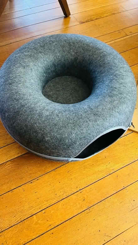 Photo of free Cat Cozy House (Central Alameda) #1