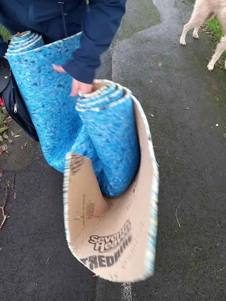 Photo of free Off cut underlay (Totnes TQ9) #1