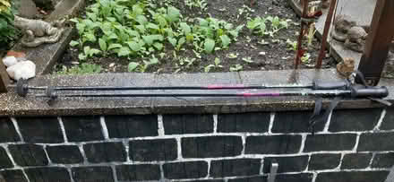 Photo of free Walking poles. Pair. (Hallgarth LA9) #1