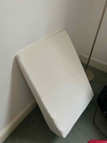 Photo of free Pillow wedge (Hampstead Heath/Belsize Park) #2