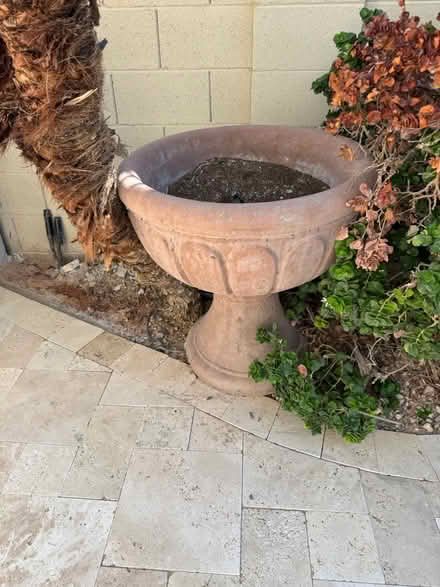 Photo of free Concrete planters (Morrison Ranch) #1