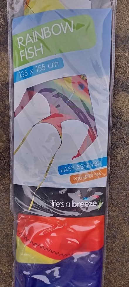 Photo of free Rainbow Fish Windsock/Flag and Pole (Wimborne Minster BH21) #1