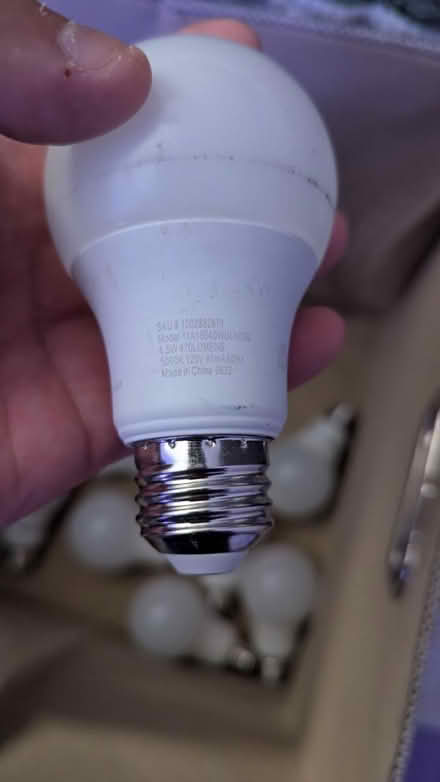 Photo of free LED bulbs and storage box (Berwyn Heights) #3