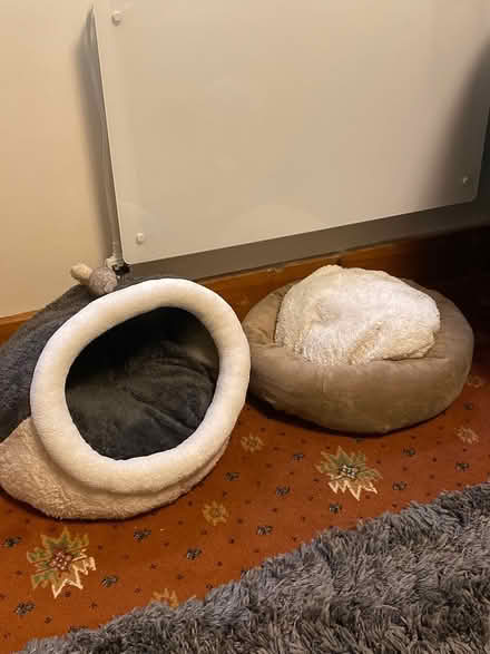 Photo of free Cat beds (BA13 Edington) #1