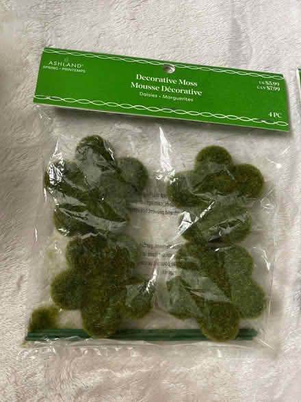Photo of free Decorative craft moss (Wilmington De) #1