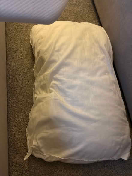 Photo of free Old pillows / for pets? (CW2 6) #2