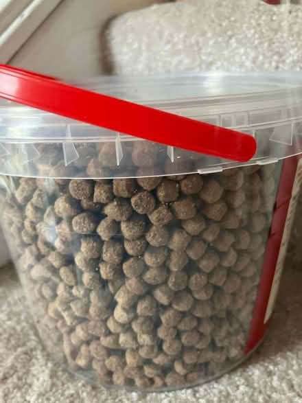 Photo of free Dry cat food (Churchill G84) #1