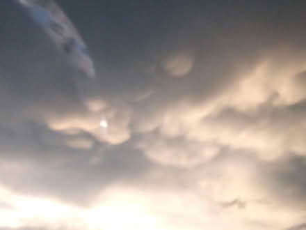 Photo of Dead of boredom (Hephzibah) #3