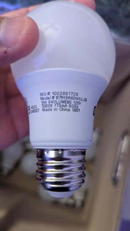 Photo of free LED bulbs and storage box (Berwyn Heights) #4