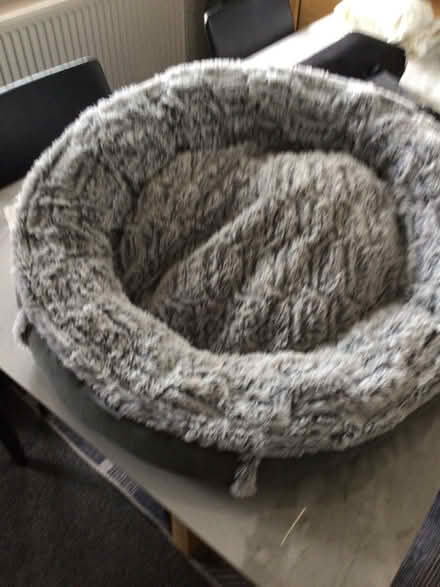 Photo of free Dog bed (Wellington) #1