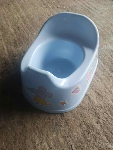 Photo of free Potty (Odd Down, BA2) #2