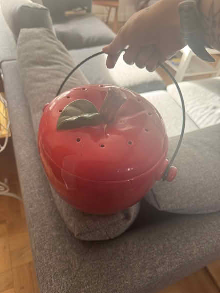 Photo of free Apple shaped compost caddy (Wisewood S6) #1