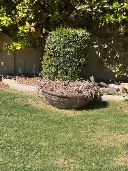 Photo of free Concrete planters (Morrison Ranch) #3