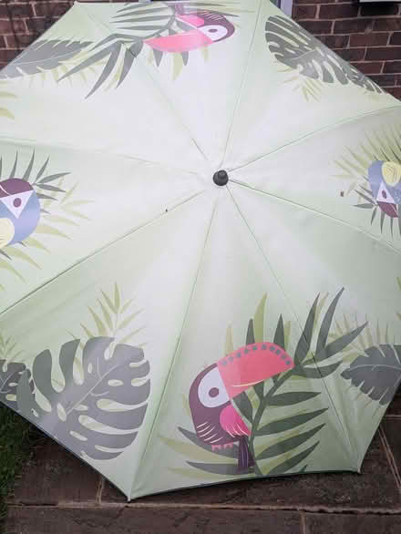 Photo of free Garden parasol large (Nr chichester west sussex) #1