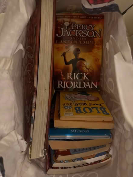 Photo of free Kids books (Solihull lode heath B92) #1