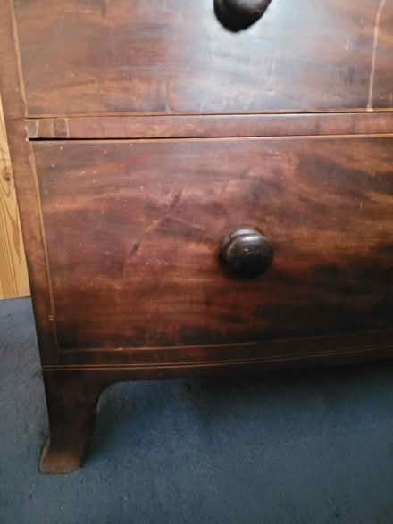 Photo of free Mahogany veneer draws (Bishopstoke SO50) #3